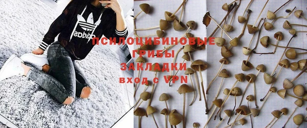 ПСИЛОЦИБИНОВЫЕ ГРИБЫ Володарск