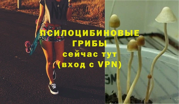 ПСИЛОЦИБИНОВЫЕ ГРИБЫ Володарск